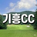 삼남개발(주) 기흥컨트리클럽 | 기흥CC 회원권 넓은 페어웨이와 동탄의 접근성!36홀의 여유를 소유하세요 ⛳