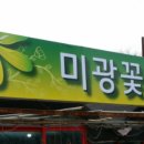 미광농원 네이버블로그