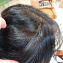 벨라헤어 | 사상역 미용실 염색 고민 끝, 벨라뷰티룸헤어에서 새치염색 후기