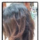 한스헤어 이미지