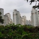 동수원자이공인중개사사무소 이미지