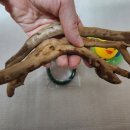 방달팽이 연구소 이미지