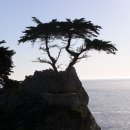 페블비치 이미지