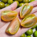 경민농장 | 경민농장 대저 짭짤이 토마토 3S 후기