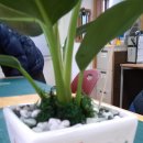 냅킨 아트 화분 만들기 이미지