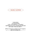 본누벨플라워