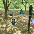 치유, 명상의 숲 이미지