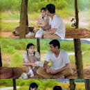 지혜의 소나기 이미지