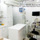 석동물병원 이미지