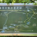 유금1리 Daum카페