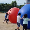 대구율하초등학교 | 대구운동회,경북운동회_ [비버컴퍼니] 대구 율하초등학교 학년별 운동회
