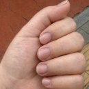 (주)만나 | 두정동 네일아트, 주블링네일 내돈내산 자석젤 후기