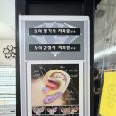 중부지하도상가 서면몰 2호 | 서면 피어싱 잘하는곳 장신구피어싱 본점에서 아웃컨츠 귓바퀴 후기! (금피어싱 안아픈후기 자세히)