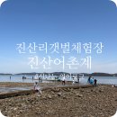 갯벌생태 체험장 | 진산리어촌계 갯벌체험장 추천 태안 맛조개 잡기 성공 후기