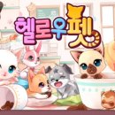 헬로우펫 이미지