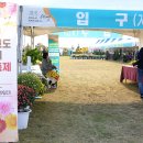 국화축제장 입구 이미지