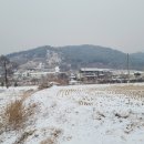 하은농장 이미지