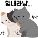 블리스산후조리원 이미지
