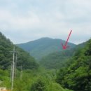 무릉도원면-3 이미지