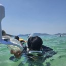 프라이빗리조트 | 나트랑 숙소 추천 아미아나 리조트 솔직 후기 프라이빗 비치 가든뷰 빌라, 스노쿨링 꿀팁