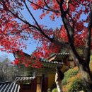 상원자동차정비 | 강원도 가볼만한곳 오대산 막바지 단풍즐기기