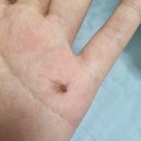 청년헬스 구산점 | 봄인지 여름인지 그치만 봄이다