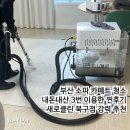 그린카페트 소파세탁 | 부산소파청소 가격 카페트 세탁 비용 내돈내산 후기 새로클린 북구점 추천