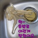 톡톡월드펜션 이미지