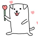 클럽더독스 이미지