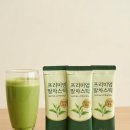 주식회사 보성녹차인 1공장 | 말차 분말스틱 OEM 소량제조 — 보성 녹차 산지 공장, 1~5g 소분 스틱 만드는 곳