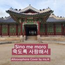 Sino Me Moro / 죽도록 사랑해서 이미지