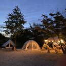 용인단풍숲캠핑장 이미지