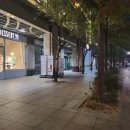 블랙스완속눈썹&눈썹부천점 이미지