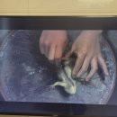 극동카센타 F/A | 넷플릭스 기대작 &#39;다 이루어질지니&#39; 정주행 : 1~2회 솔직 후기 및 감상 포인트!