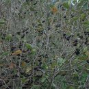 김금순농장 이미지