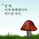 다온심리상담센터 이미지