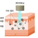 동안미소의원