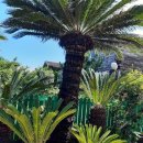 서귀포통나무집 이미지