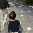 삼성치과의원 | 수원 호매실(금곡동) 영유아 구강검진! 삼성바른아이치과의원