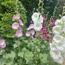 시티원빌딩 이미지