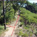 인천광역시교통연수원 앞 이미지