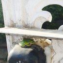 길안천 돌담집 이미지