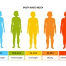 배박사 동물병원 이미지