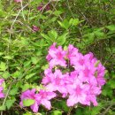 녹번-011 이미지