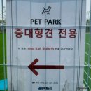 평택호휴게소 고래빵 가격 &amp; 강아지 운동장 이용 후기
