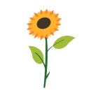 서희학교 이미지