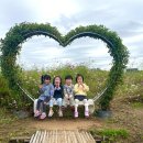 다원어린이집 이미지