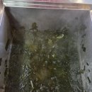 4019 | 처인구 양지면 맛집 뷔페 대동한식뷔페&amp;도시락 식사후기