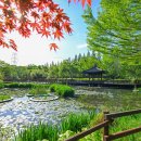 경상남도수목원주차장 이미지