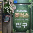인천채씨 효부각 | 인천 실내 가볼만한 곳 쥬벅스 인천 실내동물원 아기와함께 먹이체험 후기